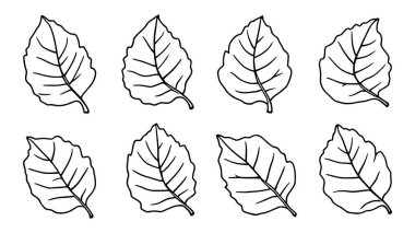 Ev dekorasyonu için Jackfruit yaprağı çizimi en az botanik çizim