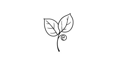 Jasmine Leaf çizgi tasarımı ev dekorasyonu için modern botanik çizimler