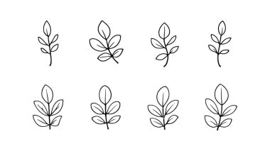 Yasemin Yaprağı çizgisi, narin minimalist tarzla çizilmiş.