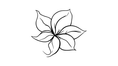 Jasmine Leaf çizgisi sanat illüstrasyonu minimalist çiçek tasarımı sanat eseri