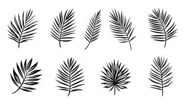 Palmiye yaprağının yaprağı sanat karmaşık botanik çizim tarzı