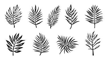 Palmiye yaprağı çizgisi sanat minimalist siyah ve beyaz tasarım