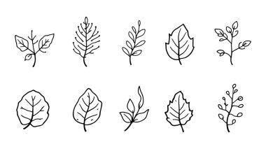 Yaprak vektörü simgeleri Eko yaprağı logo çizgisi basit sanat biçimi