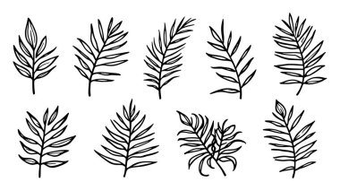 Palmiye yaprağı çizgisi sanatsal palmiye yaprakları vektör tasarımı