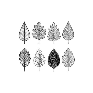 Çizgi sanatı modern botanik taslak görsel konsept