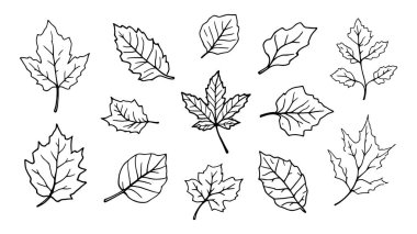 Ağaç yaprakları sanat botanik çizimleri yaratıcı ilham için.