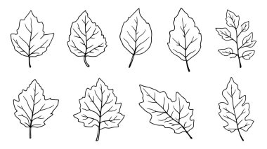 Ağaç yaprağı çizgileri modern eskiz duvar sanatı için mükemmel.