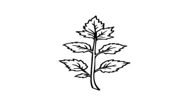 Limon merhemi sanat zarif bitki çizimi organik ambalaj için