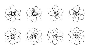 Lobelia çizgisi. Narin botanik çizimi. Doğal cazibeyle dolu.
