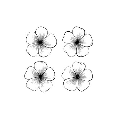 Madagaskar Periwinkle ikon çizgisi sanat yaban çiçeği doğa