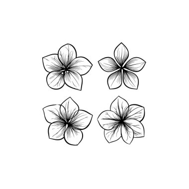 Malabar Ispanak Çiçeği ikonu çizgisi Sanat botaniği