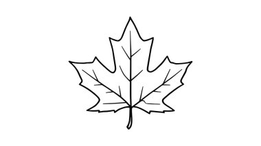 Mango yaprağının çizdiği el çizimi doğal güzellikleri gözler önüne seriyor.