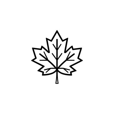 Narin damarları olan akçaağaç yaprağı çizgisi