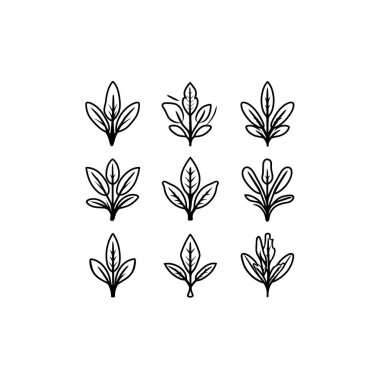 Mealycup Sage ikon çizgisi, kır çiçeği doğası.