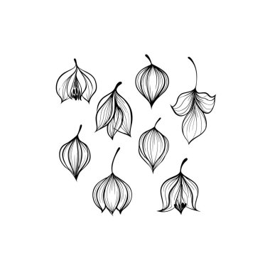 Medinilla ikon sanatı zarif botanik konsepti