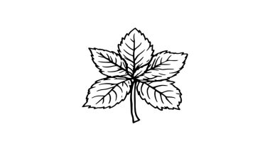 Nane yaprağı çizgisi doğa için zarif çizim ilham verici sanat