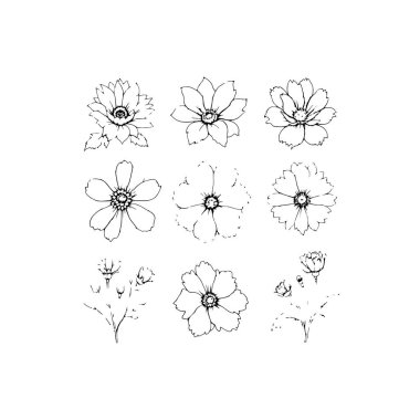 Tek Renkli Çiçekler Çizgisi Sanat Nazik Gölgeler