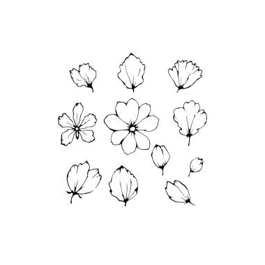 Monoline Taç Çizgisi Sanat Hassas Çiçek Tasarımı