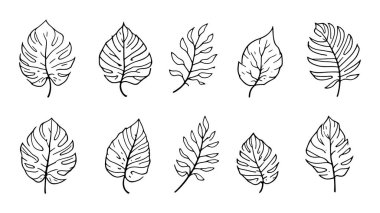 Canavar yaprakları sanat çizgisi minimalist botanik tasarım doğa