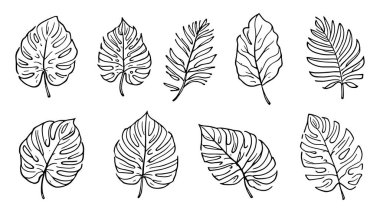 Canavar çizgisi çizimi basit ve temiz botanik çizimi