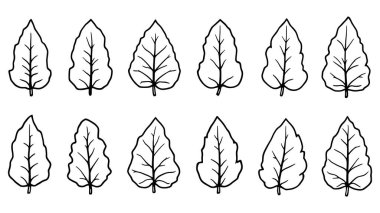 Nicotiana çizgisi güzel çiçek çizimi narin bir çizgide.