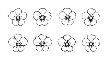 Zarif çizgileri olan minimalist botanik çizimler.