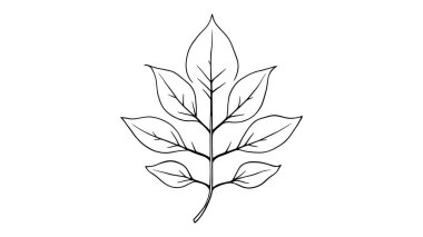 Peepal Leaf çizgisi ev dekorasyonu için eşsiz bir el çizimi botanik sanatı