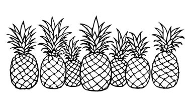 Ananas çizim çizimi en az meyve detayına odaklandı