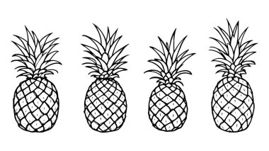 Ananas çizgisi çizimi doğal meyve dokusunu ve biçimini gösteriyor.