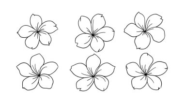 Plumeria serisi. Temiz modern çizgileri olan zarif çiçek çizimi.