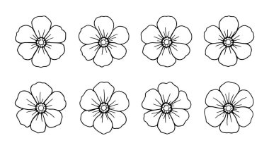 Portekiz çizgisi çizimi kağıt dokusu üzerine detaylı botanik çizim