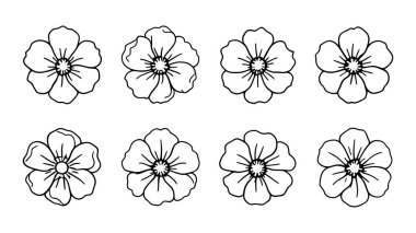 Portekiz çizgisi beyaz arkaplanda minimalist çiçek tasarımı