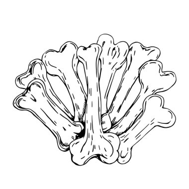 Tek Köpek Kemiği Çizgisi Köpek severler için minimalist bir sanat tarzı