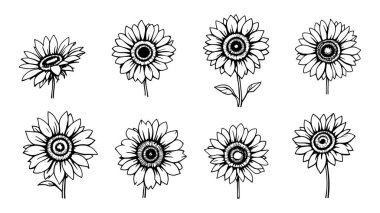 Çiçekli vektör elementleri kümesi