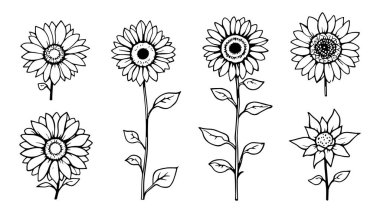 El çizimi çiçekler.