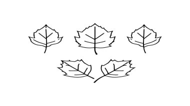 Karalama tarzında sonbahar yaprağı ikonu. El çizimi vektör illüstrasyonu.