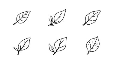 Yaprak vektör tasarımı illüstrasyon logosu seti