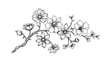 Güzel çiçeğin el çizimi