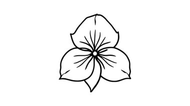 El çizimi çiçek, siyah ve beyaz izole