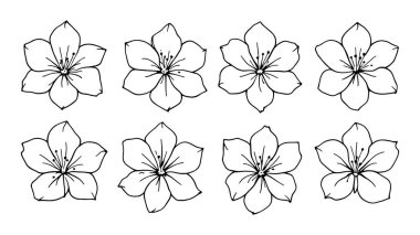 Çiçekli elementler, çiçekler, yapraklar..