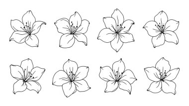 El çizimi vektör çiçekleri