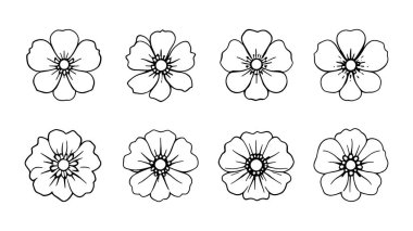 Çiçek seti, el çizimi vektör çizimi. vektör illüstrasyonu.