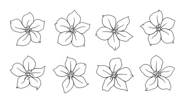 El çizimi çiçek elementleri.