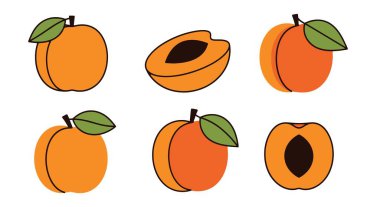 Kayısı Çizgisi Grafik İllüstrasyonu