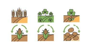 Kırpma Döndürme Çizgisi çizimi