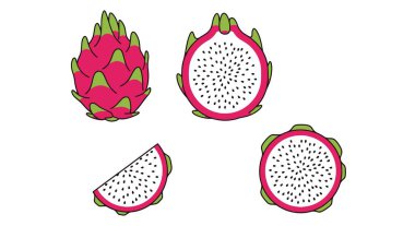 Ejder Meyvesi Çizgisi Resim Rengi