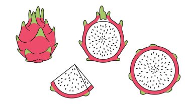 Ejder Meyvesi Çizgisi yaratıcı renk dolu tasarım