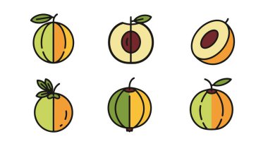 El çizimi avokado. farklı meyvelerin vektör kümesi