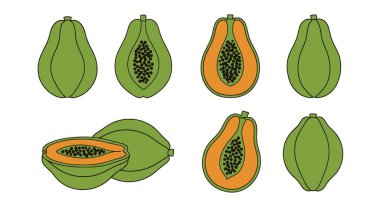 Bir dizi yeşil papaya meyvesi..