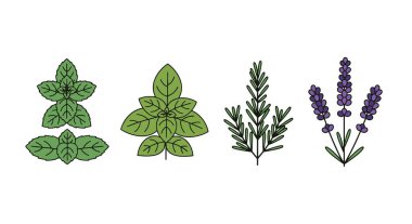 farklı baharat seti.